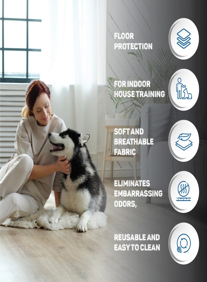 Trixie Pads for Protective Pants, Designed for Dogs, Prevents Stains on Carpets & Other Fabrics, Perfect for House Training - 10pcs, M (Pack of 4) - Image 3